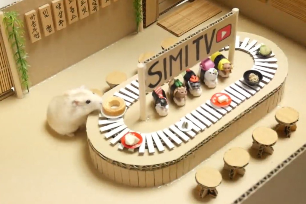 【倉鼠食物】韓國主人為倉鼠打造多個玩樂場所　日式迴轉壽司放題／戲院食爆谷