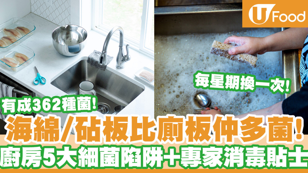 廚房清潔｜海綿比廁板更多菌！廚房5大多細菌的地方＋清潔消毒貼士