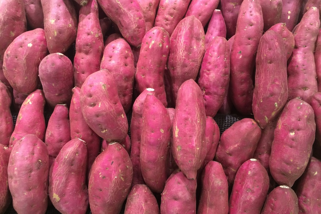 【健康減肥】日本營養師推薦番薯減肥法　藝人實測2星期減4.4磅／腰圍減2.5厘米