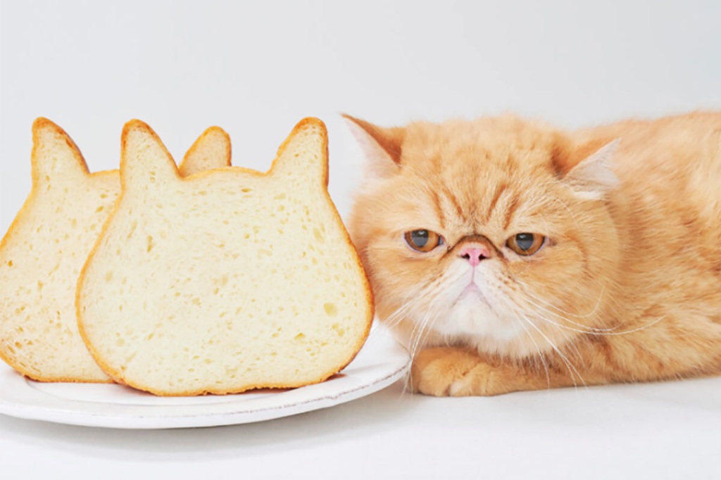 【東京美食】日本麵包店新推出貓貓造型多士　牛奶／朱古力／芝士／紅豆味