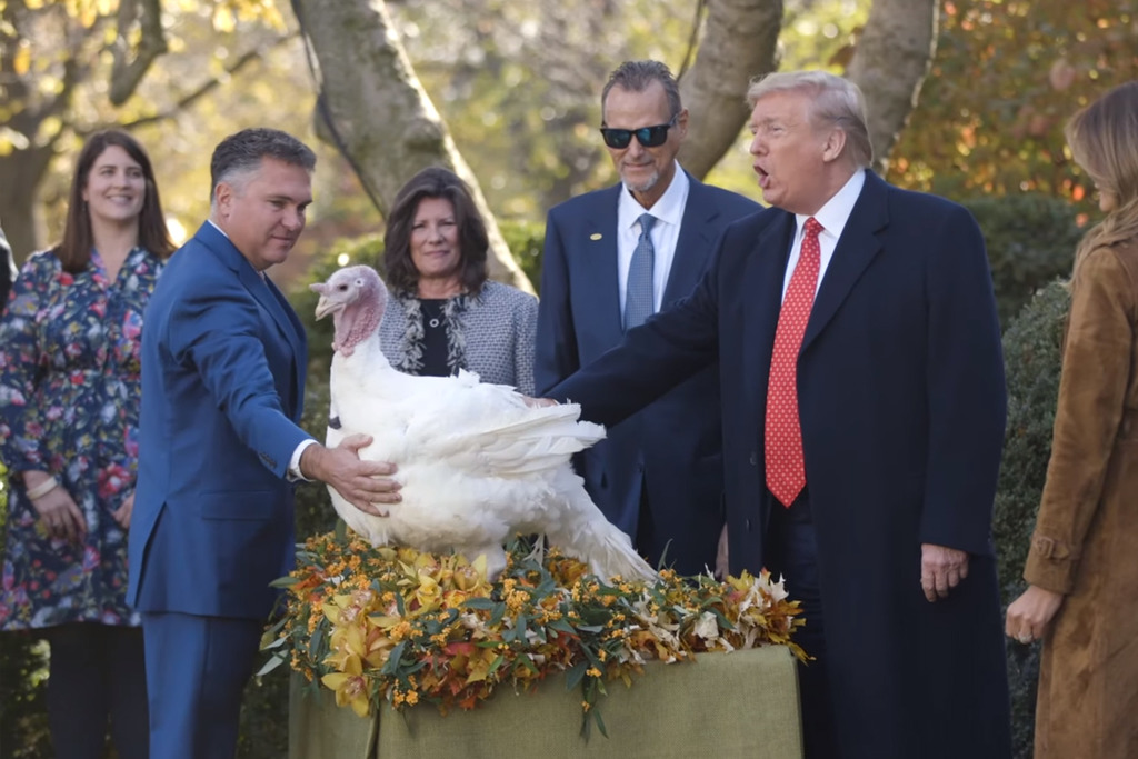 【聖誕2019】美國白宮感恩節傳統要特赦火雞？特朗普舉行儀式赦免火雞並送至農舍照顧其至自然老死