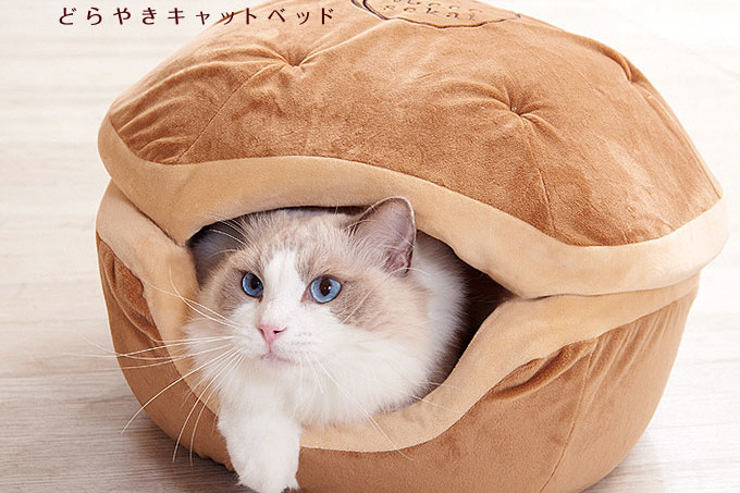 【寵物用品】日本推出超可愛貓咪專用品　冬天必備銅鑼燒夾心造型床墊
