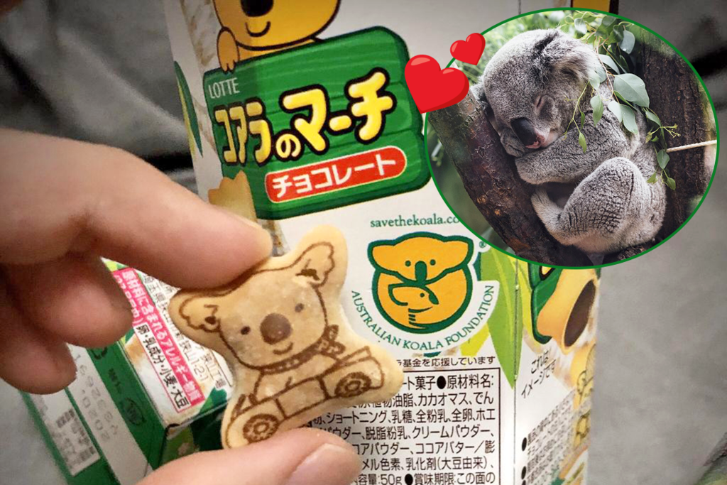 【澳洲山火樹熊】26年來一直默默捐錢澳洲樹熊基金！　日本網民呼籲買「樂天熊仔餅」救澳洲樹熊