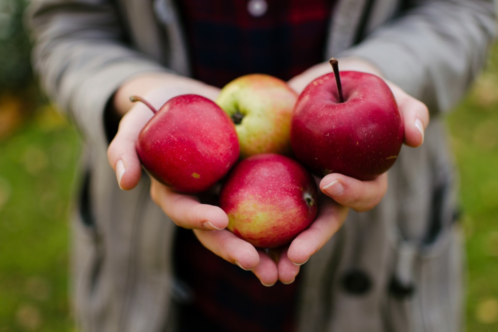 【挑選蘋果】蘋果越紅並非甜度越高！一文教你正確挑選蘋果方法