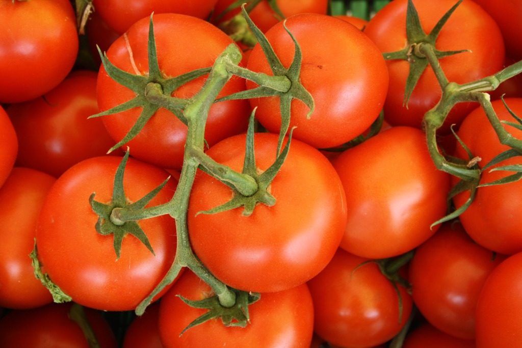 【番茄食譜】番茄又圓又光滑仍未夠！日本農夫教你3招挑選香甜番茄方法