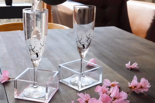 【日本手信2020】日本夢幻手工冷感櫻花杯　變色玻璃杯倒水會盛放粉紅櫻花樹！