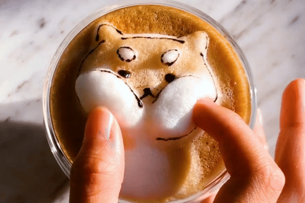 【咖啡拉花】柴犬＋哥基立體咖啡奶泡　可愛造型超治癒！