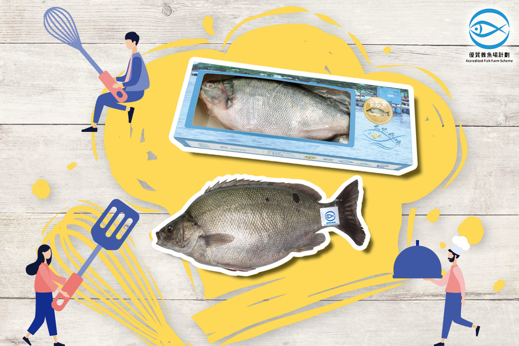 分享自創食譜 贏寶石魚及魚禮品套裝