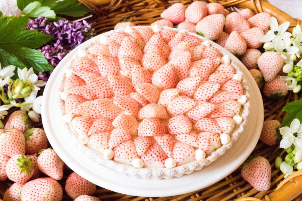 【日本甜品】日本蛋糕甜品專門店推出聖誕限定　超豐富巨型白朱古力水果撻