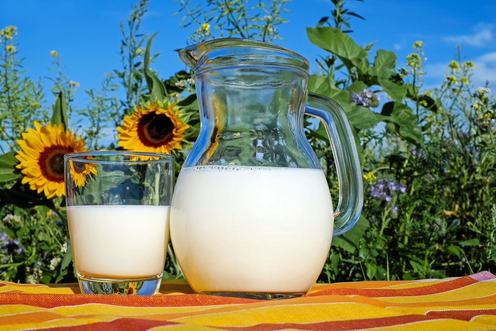【牛奶營養】全脂、低脂、脫脂奶哪一款較健康？ 營養師拆解各牛奶類型營養分別及適合人士