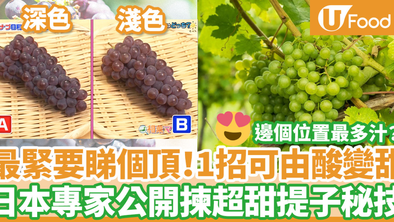 【揀提子】日本專家3招揀提子方法  拆解邊個位置最香甜多汁