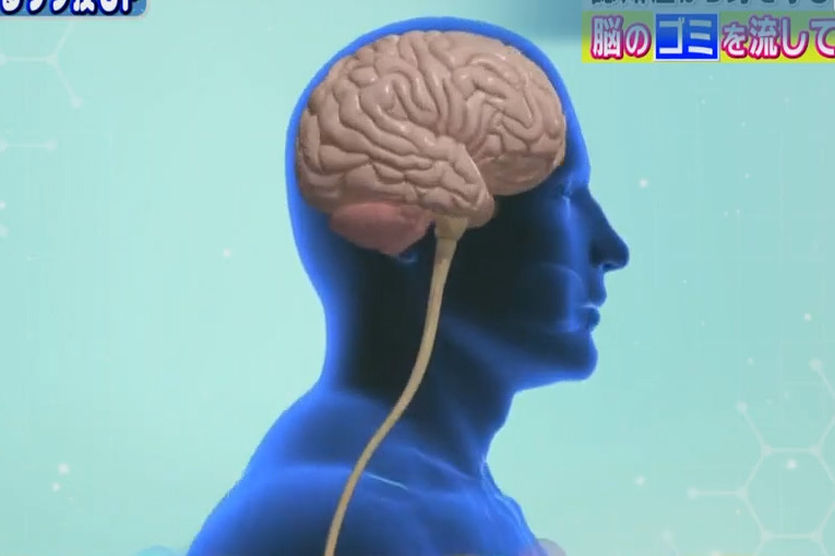 腦部廢物在腦退化症20年前已經開始積聚！　日本醫生教你2招排走腦部廢物／預防認知障礙