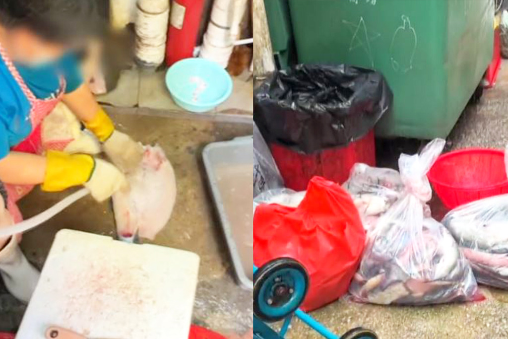 一線搜查｜荃灣川菜館被爆處理食材環境惡劣　污糟地板洗魚／食材置後巷垃圾箱旁