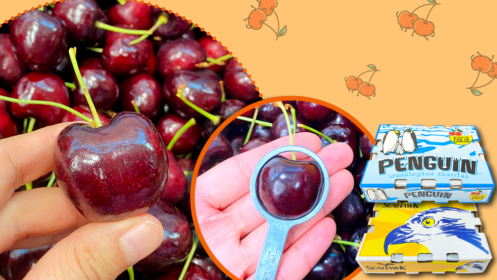 車厘子點樣揀﹖產自美國華盛頓 多汁‧香甜‧夠大粒