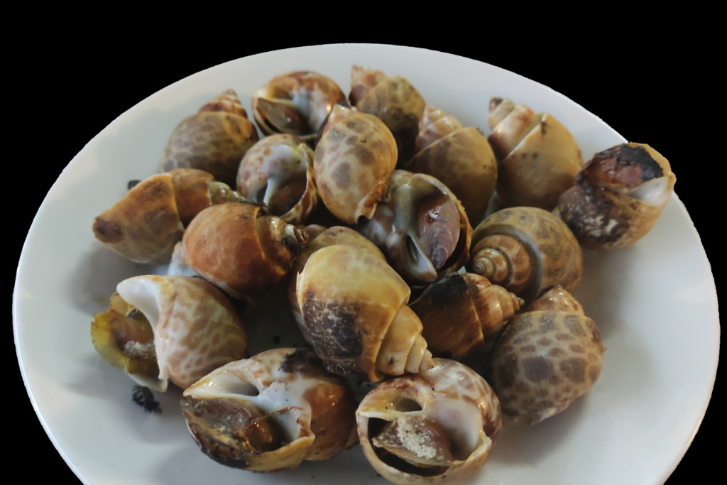 泰國情侶餐廳吃螺吃出罕見珍珠之王！　鑑定後確認為超稀有美樂珍珠／全球僅有200粒／米粒般大小價值逾$2萬