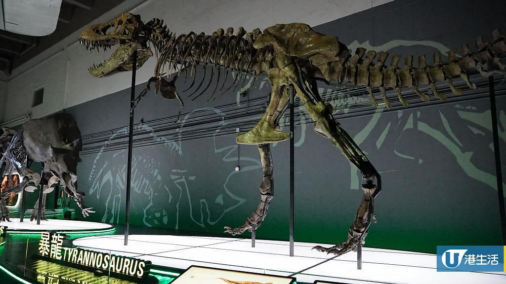 大型恐龍展覽「八大‧尋龍記」7月登陸科學館！8組完整度極高化石標本/1比1棘龍/哈特茲哥翼龍