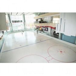 The Rink
