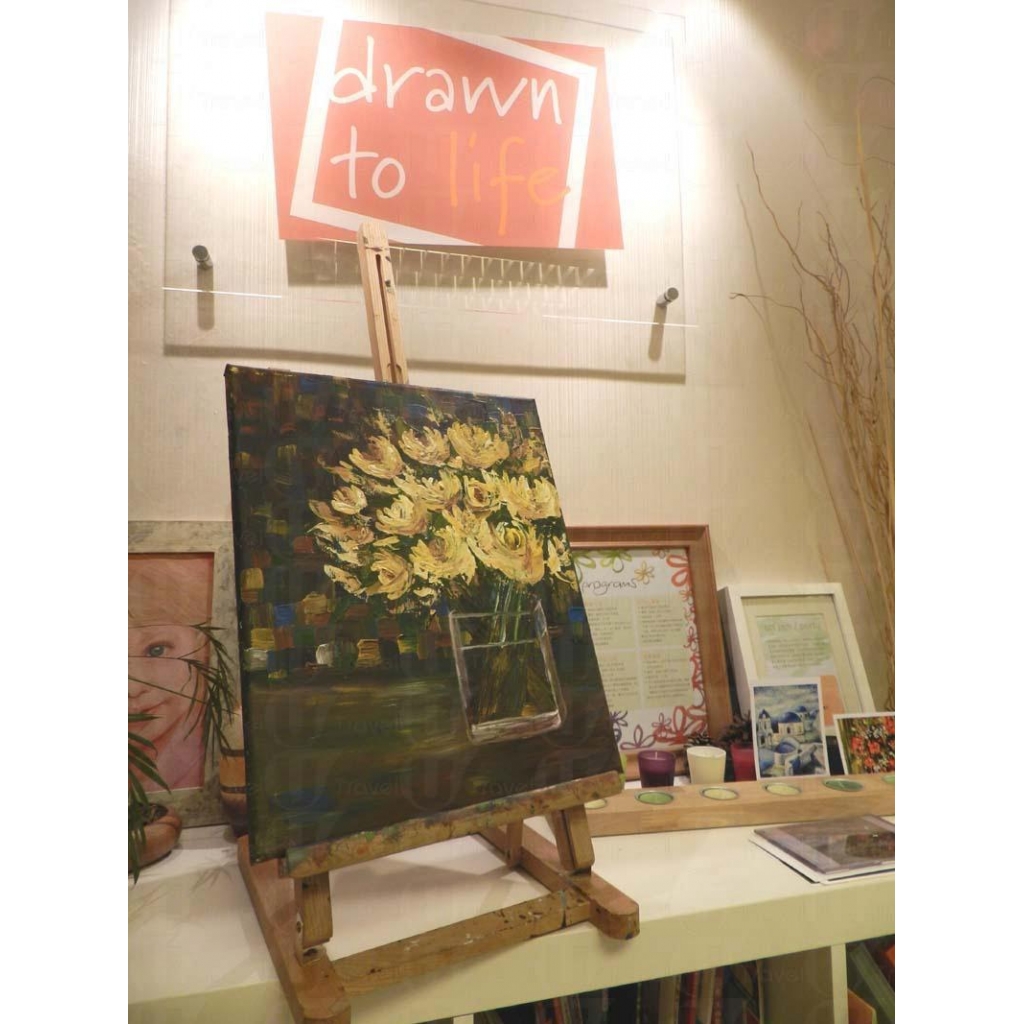 Drawn to Life 