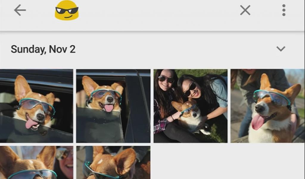  Google Photo新功能！用Emoji都可以Search相？