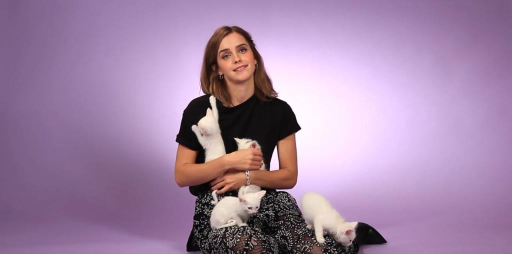 女神Emma遇上喵星人　網友：我都想變成隻貓呀！