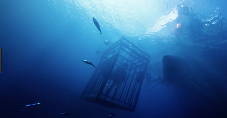 全海底拍攝《鯊海47米》美女賞鯊魚斷籠墮47米深海