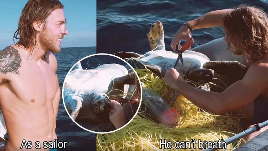 剪去尼龍繩助4隻被垃圾纏繞海龜重獲自由 暖男水手：這是我的責任！