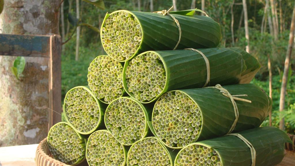 越南推出「蒲草飲管」支持環保走塑　每支$0.2價錢親民+可以全天然分解