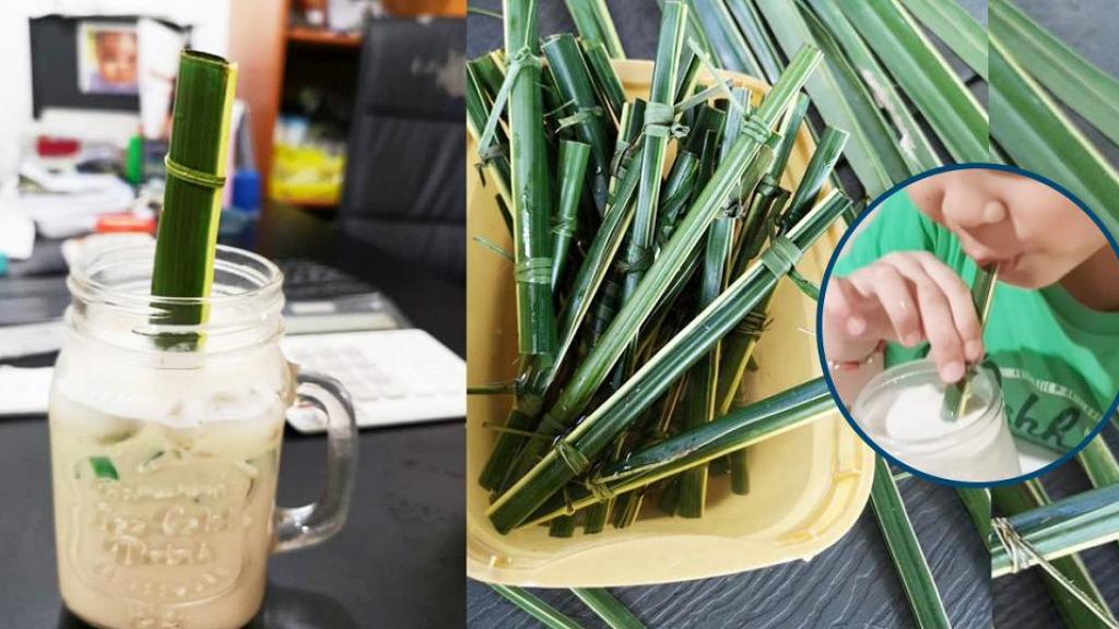 菲律賓新推椰子葉環保飲管　2分鐘自製簡單易整/可天然分解