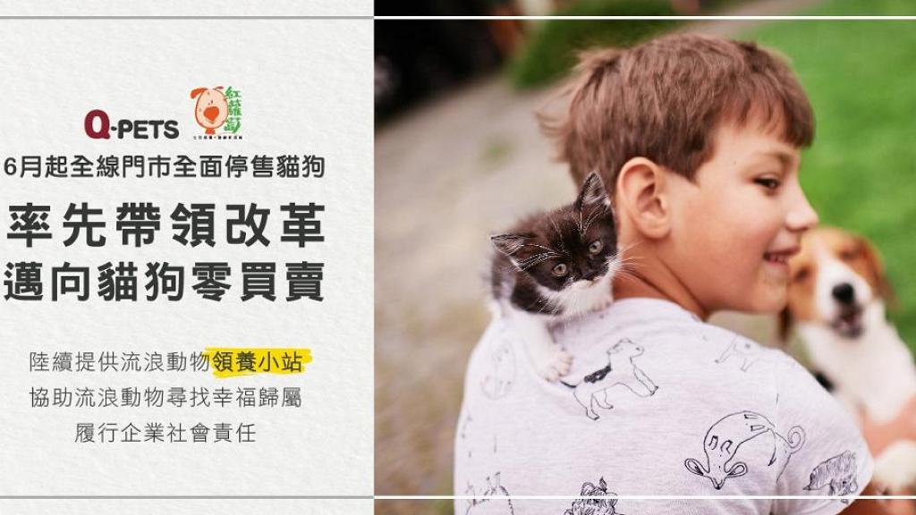 連鎖寵物店Q-PETs宣布全面停售貓狗 增動物領養站幫助被遺棄寵物