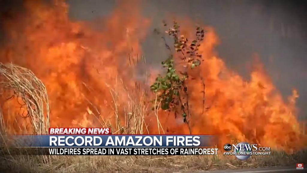 亞馬遜熱帶雨林大火引起國際關注　巴西缺乏資源控制火勢卻堅拒外國干預