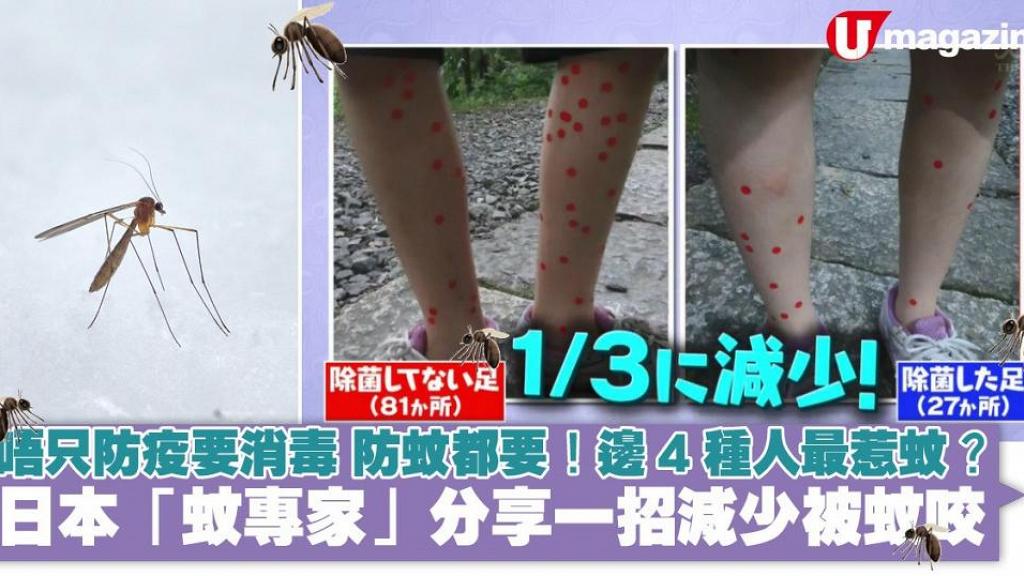 唔只防疫要消毒、防蚊都要! 日本「蚊專家」分享一招減少被蚊咬 邊4種人最惹蚊？