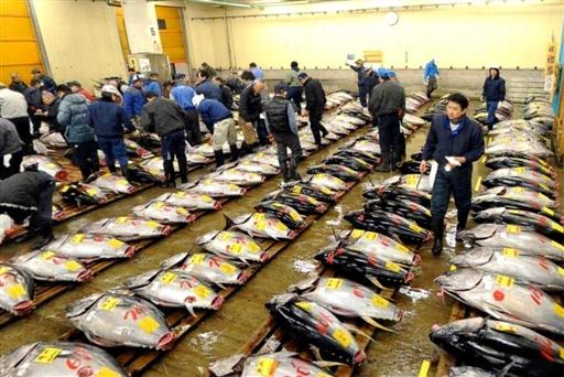 東京築地魚市場