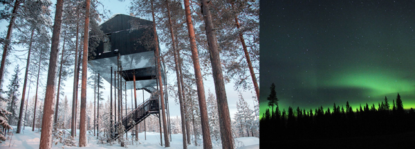 最佳觀「光」點！ 瑞典超豪裝樹屋！