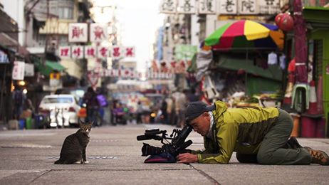 日本得獎攝影師來港影貓