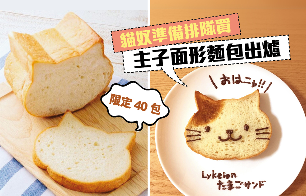 大阪限定超可愛貓咪面形麵包