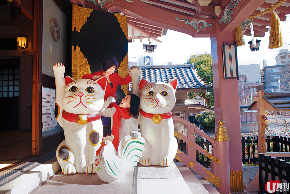 日本  6 大最萌貓神社