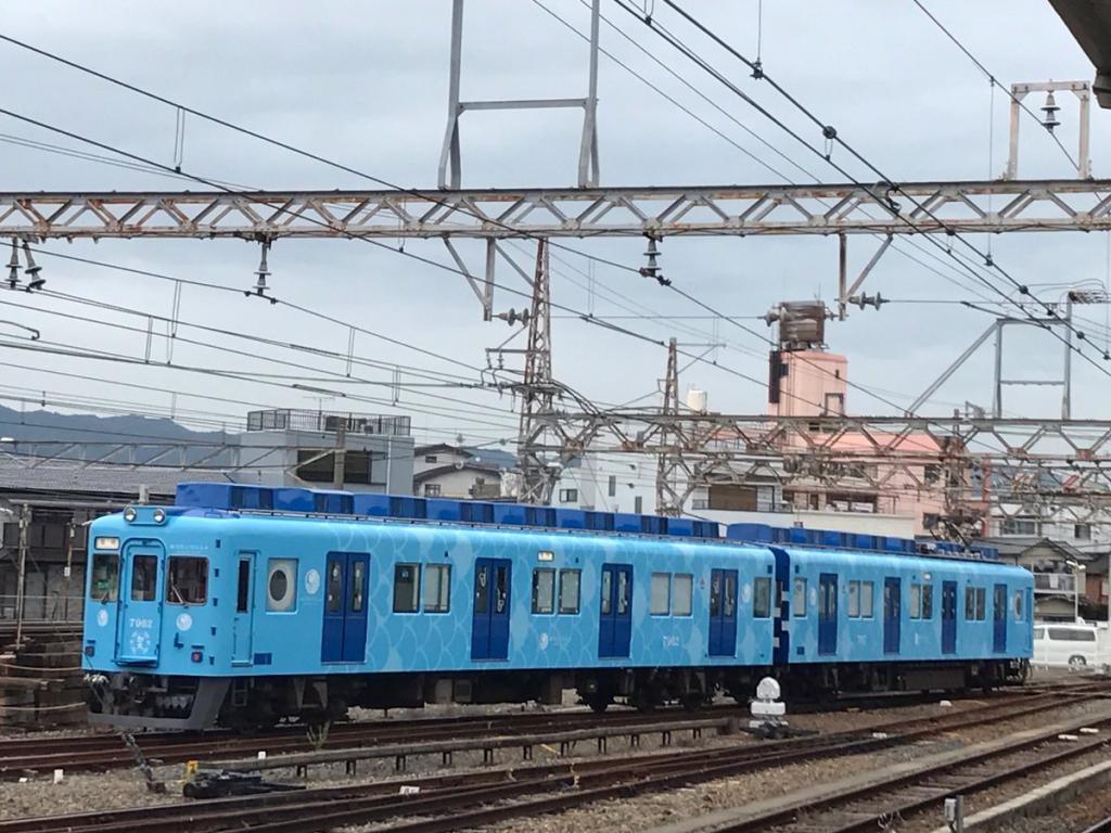 日本鯛魚電車換新裝　新增水藍色小清新風