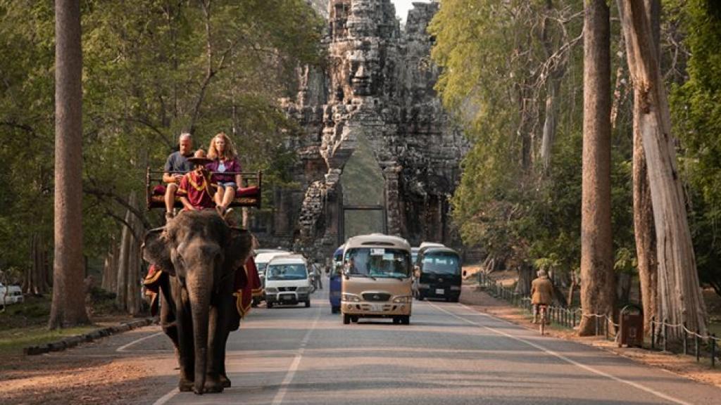 柬埔寨吳哥窟擬2020年起禁止遊客騎大象