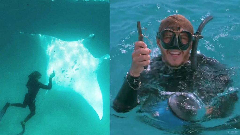 澳洲潛水員海底遇魔鬼魚求救