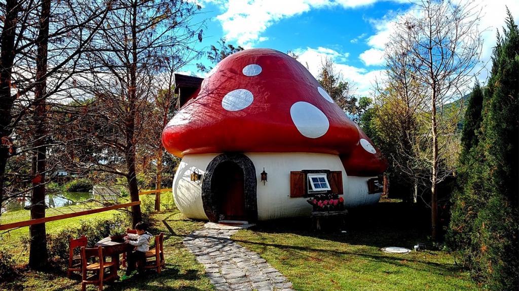 住進森林可愛蘑菇屋！