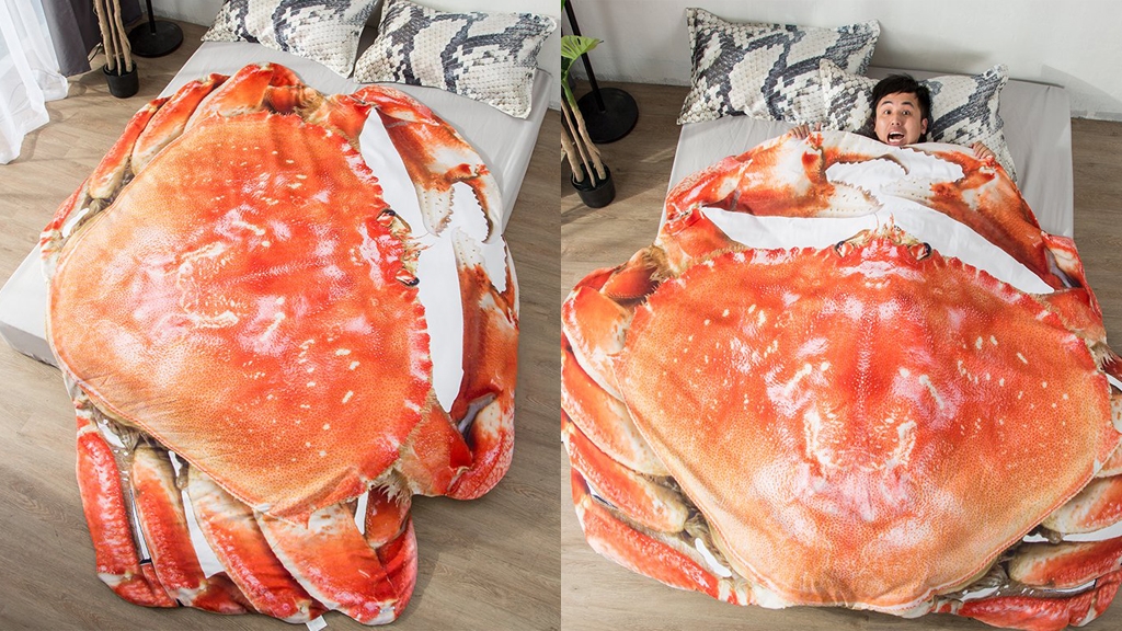 巨大螃蟹爬到床上？