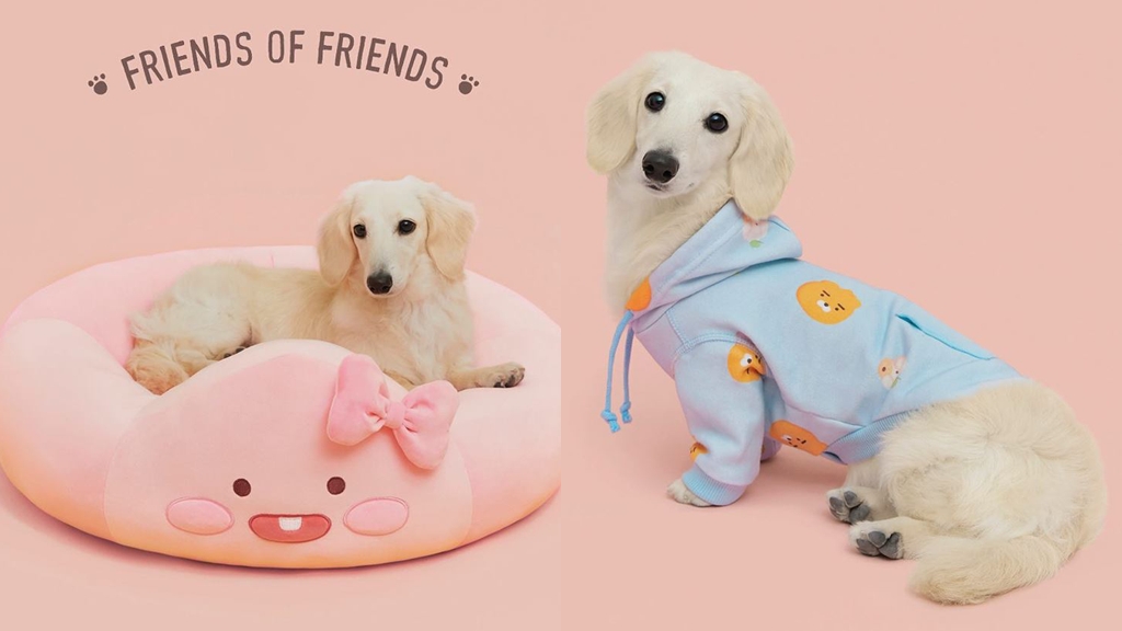 韓國KAKAO FRIENDS全新寵物系列