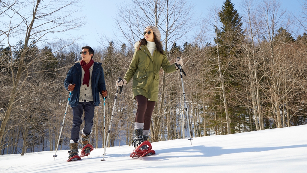 冬季旅行計劃開動！必去日本人氣「一價全包」滑雪度假村