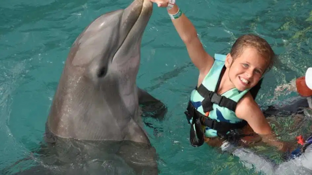 墨西哥旅行參加海豚共游受襲