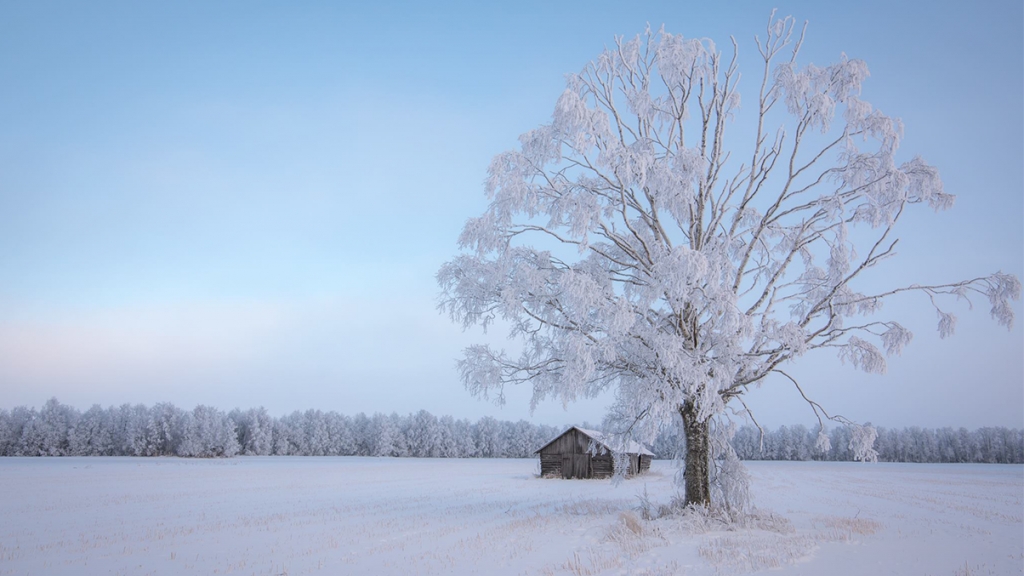 芬蘭童話式雪景