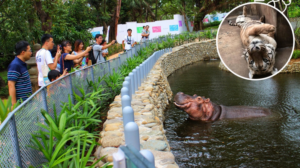 新竹市立動物園重新開放