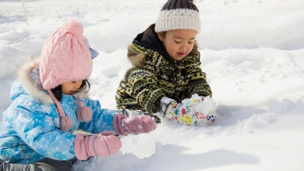 北海道1-3月冬季天氣懶人包