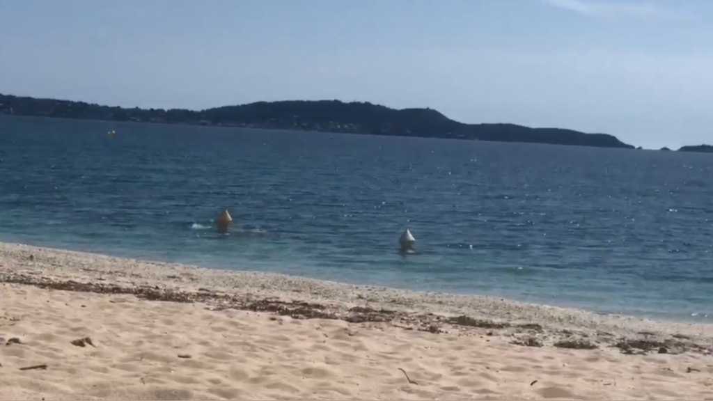 法國兩名男子無視封城衝海灘游泳