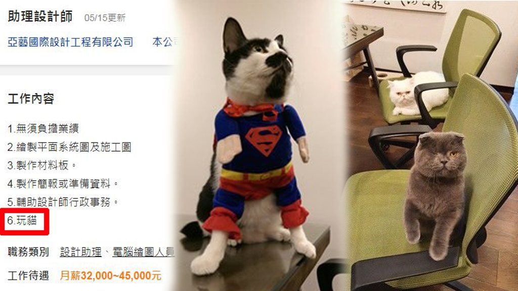 台灣設計公司招聘請人「玩貓」