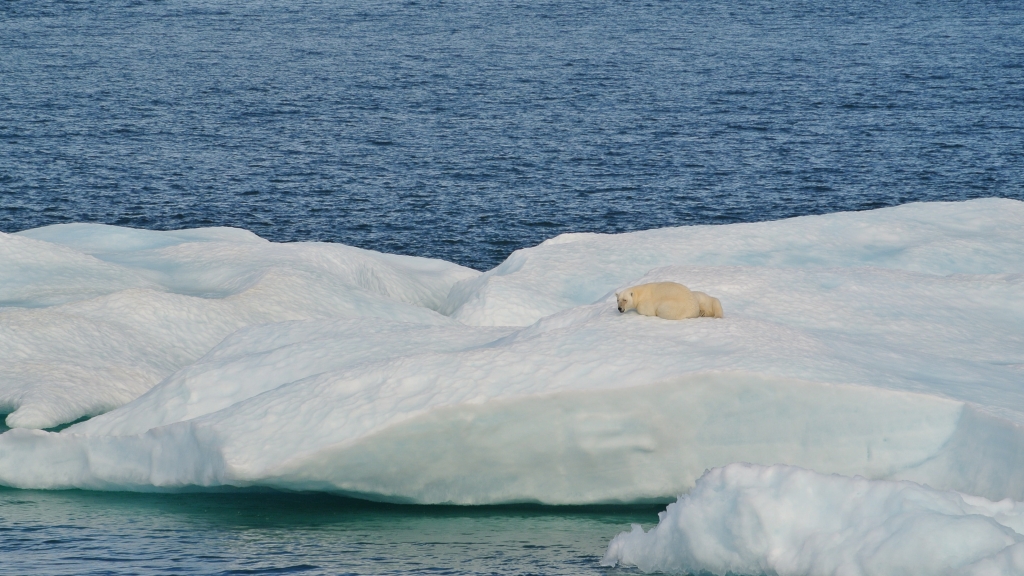 氣候劇變導致北冰洋海冰下沉